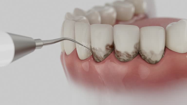 Reliable Dental contractor in Arlington, VA by Dentist Open Now